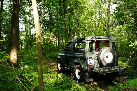 Lampenschutzgitter, hinten - Defender