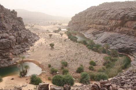 Mauretanien - ein wildes Land voller Überraschungen
