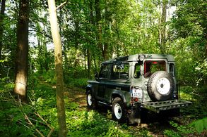 Lampenschutzgitter, hinten – Defender