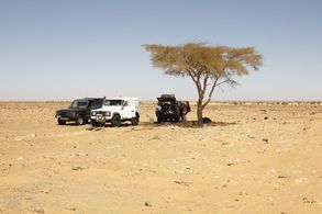 Mauretanien – ein wildes Land voller Überraschungen