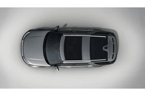 Dachreling in Silber - Discovery 5