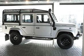 Sicherheitskfig, auenliegend – Defender 110